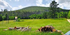 Landwirte, Forstwirte, Waldbesitzer oder Jäger aufgepasst!!! Ein Stück unberührte Natur wartet auf Sie.